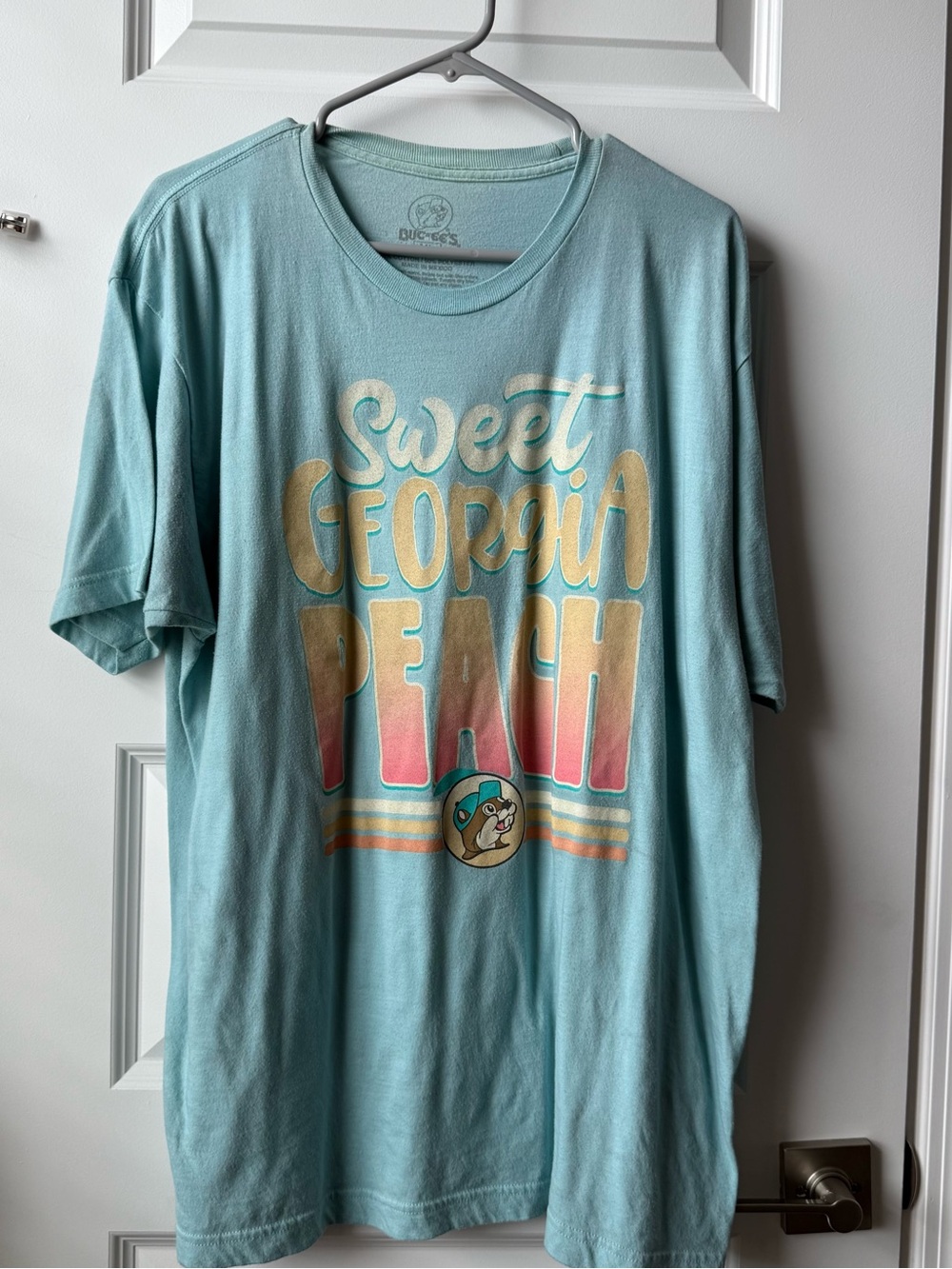 Sweet Georgia Peach Graphic Tee - Light Teal